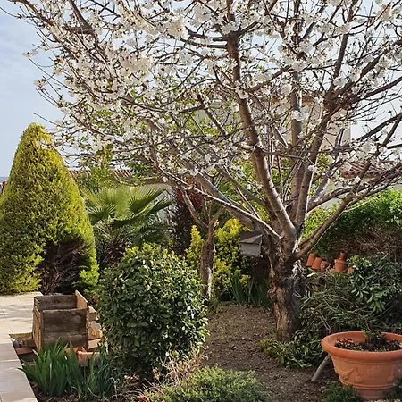 Villa Pour Vos Prochaines Vacances Mèze